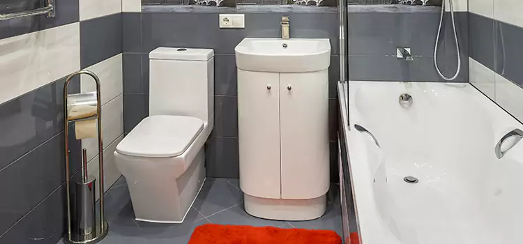 Hansgrohe Shaving Mirror Indio